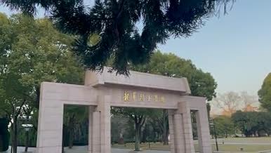 清明烈士陵园扫墓实拍视频的预览图